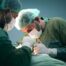 Dental Emergency